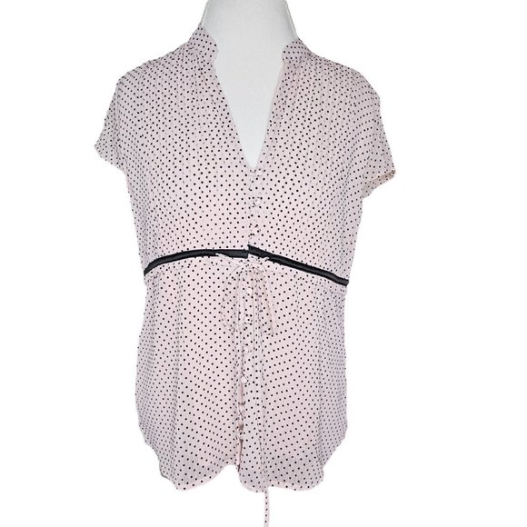Y2K Large Light Pink Chirron Swiss Dot Blouse Pontuck‎ Pleats Sheer Cap Sleeve - Picture 1 of 9